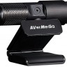 Камера Web Avermedia BO317 черный 2Mpix USB2.0 с микрофоном