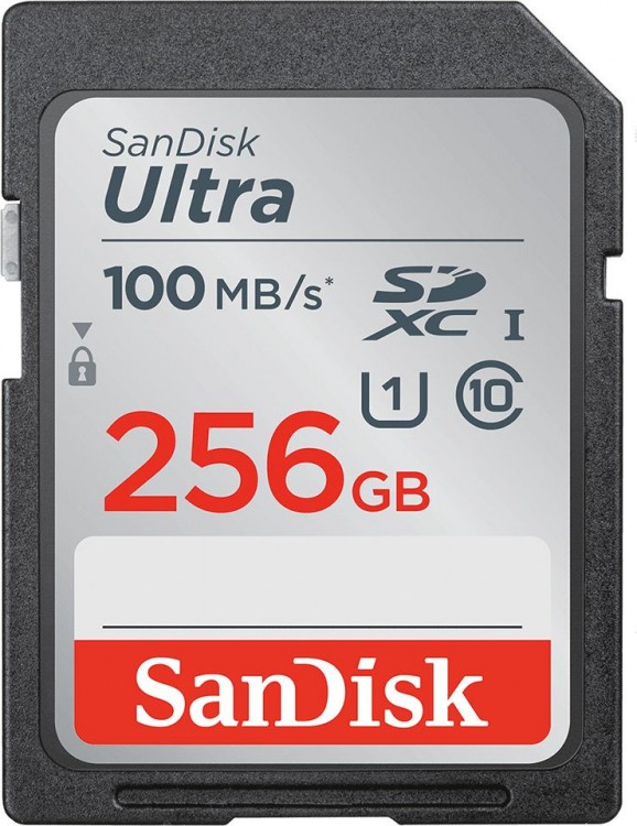 Флеш карта SDXC 256Gb Class10 Sandisk SDSDUNR-256G-GN6IN Ultra