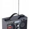 Радиоприемник портативный Сигнал БЗРП РП-306 черный USB SD