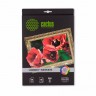 Холст Cactus CS-CA426010 A4/300г/м2/10л. для струйной печати