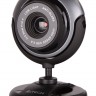 Камера Web A4 PK-710G черный 0.3Mpix USB2.0 с микрофоном