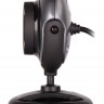 Камера Web A4 PK-710G черный 0.3Mpix USB2.0 с микрофоном