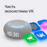 Умная колонка VK Капсула Мини Маруся светло-серый 5W 1.0 BT 10м (MRC02GY)