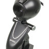 Камера Web A4 PK-30F черный USB2.0 с микрофоном