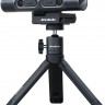 Камера Web Avermedia PW 313D черный 5Mpix USB2.0 с микрофоном