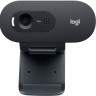 Камера Web Logitech WebCam C505e черный 2Mpix USB2.0 с микрофоном для ноутбука