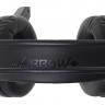 Наушники с микрофоном Oklick HS-L450G ARROW черный 2.2м мониторные оголовье (HS-L450G)