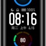 Фитнес-трекер Xiaomi Mi Band 5 XMSH10HM\HMSH01GE AMOLED корп.:черный рем.:черный (BHR4215GL\BHR4219RU)