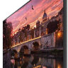 Панель Samsung 65" QB65R черный E-LED BLU LED 16:9 DVI HDMI M/M матовая 4000:1 350cd 178гр/178гр 3840x2160 DisplayPort RCA Ultra HD USB 24.9кг (RUS)