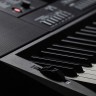 Синтезатор Casio CT-X3000 61клав. черный