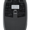 Мышь HP QY778AA черный оптическая (1000dpi) USB (2but)
