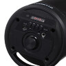 Минисистема Hyundai H-MC160 черный 50Вт/FM/USB/BT/SD/MMC