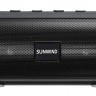 Колонка порт. SunWind SW-PS101 черный 10W 1.0 BT/USB 1200mAh