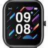 Смарт-часы Digma Smartline E3 1.4" TFT черный (E3B)