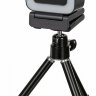Камера Web Hikvision DS-UL4 черный 4Mpix (2560x1440) USB2.0 с микрофоном