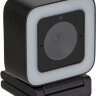 Камера Web Hikvision DS-UL4 черный 4Mpix (2560x1440) USB2.0 с микрофоном