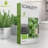 Весы кухонные электронные Scarlett Green Line SC-KS57P91 макс.вес:5кг рисунок