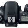 Зеркальный Фотоаппарат Canon EOS 77D черный 24.2Mpix EF-S 18-55mm f/4-5.6 IS STM 3" 1080p Full HD SDXC Li-ion