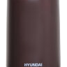 Кофемолка Hyundai HYC-G4251 200Вт сист.помол.:ротац.нож вместим.:50гр черный