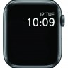 Смарт-часы Digma Smartline T5 1.54" IPS черный (T5B)